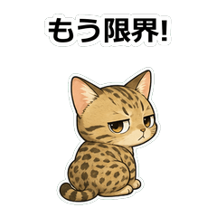 貓咪オシキャット情緒登出貼圖