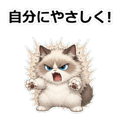 貓咪ラガマフィン情緒登出貼圖