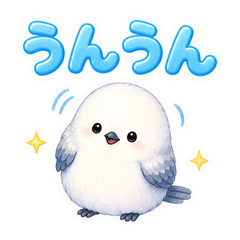 Round Shima Enaga 02
