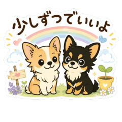 Gentle Chihuahua Care & Support