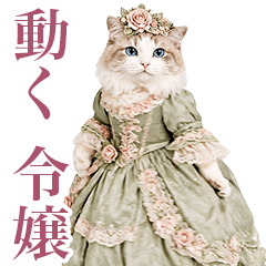 Move Cute cat of a medieval noblewoman