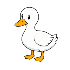 apology duck