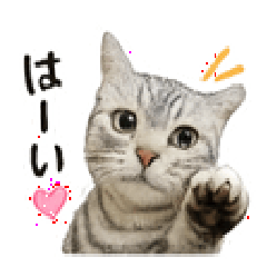 Cute! Mi-chan.