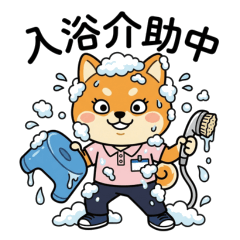 Working Shiba Inu Girl: Caregiver Life