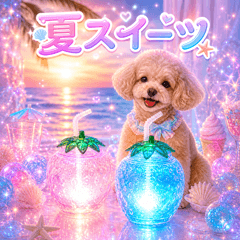 summer sweets toy poodle p