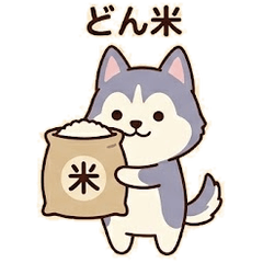 Punny Husky: Daily Dog Jokes
