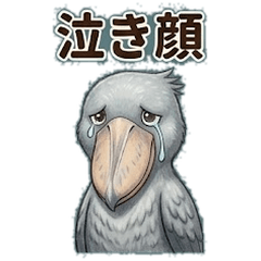 Shoebill Idol: Emotions Missing