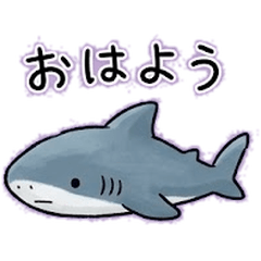 Lazy Shark: Zero Motivation