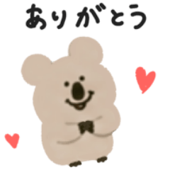 ◉オシャレなクオッカワラビー◉