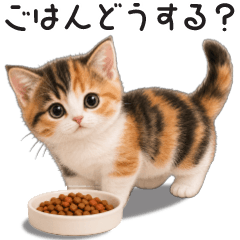 Cat Stickers for Family Contact