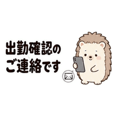 Night Work Contact Hedgehog