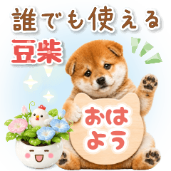 誰でも使える大人可愛い☆たれ耳の癒し豆柴