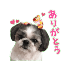 riri - Daily Chat Stickers