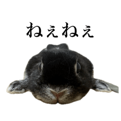 momo_20260615123551