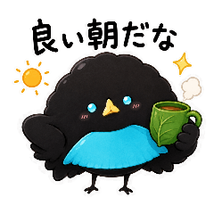 mikipokkle_20260615123534