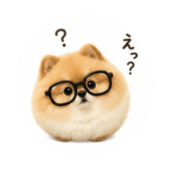 Doggcatt fluffy