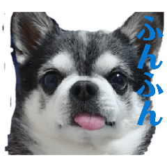 okatan1019_20260615131219