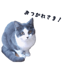 Fuku_20260615132005