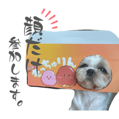 miho_20260615134454