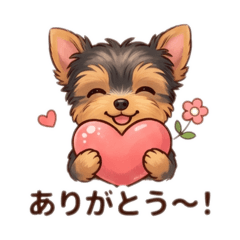 Ms.Drago_20260615134154