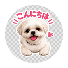 Momo chan SP