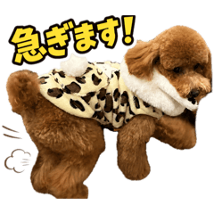 mokochansutanpu