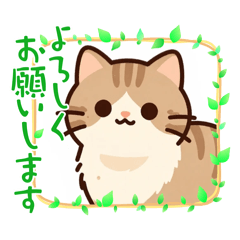 cat_20260615145530