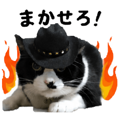 yoshi_20260615144405