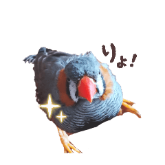 minikon_20260615162817