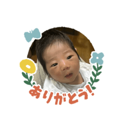 Ryu&kinako