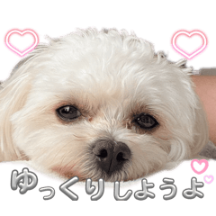 Fumiya_20260615173143
