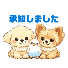 popomama_20260615173857