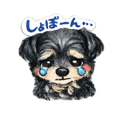 kirakira_20260615174923