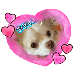 aoi_20260615175353