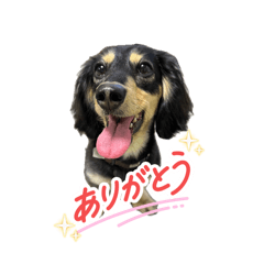 MAYU_20260615175544