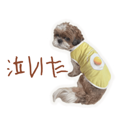 shiho_20260615181059