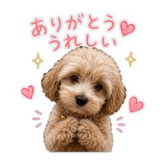 Ohana_20260615181657