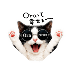 Oraの猫