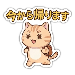 RomiMeru_20260615182745