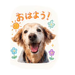 Rin_20260615183207