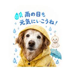 Rin_20260615184303