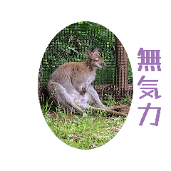 safari stamp