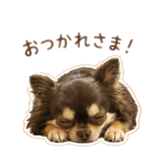 mumu_20260615194104