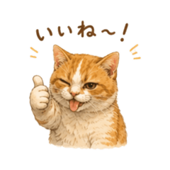 junjun_20260616193431