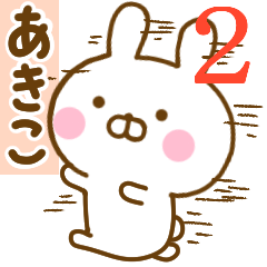 Rabbit Usahina akiko 2