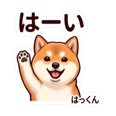 kazumi_20260614170129