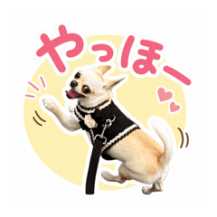 kuroki_20260616200953