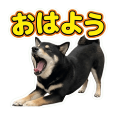 HIROKAZU Nero
