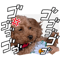 Saki_20260616202051