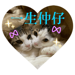 hiyori_20260616211402